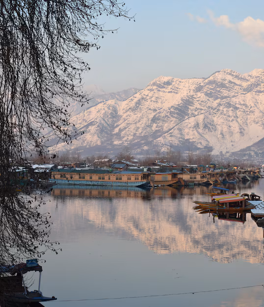 Srinagar